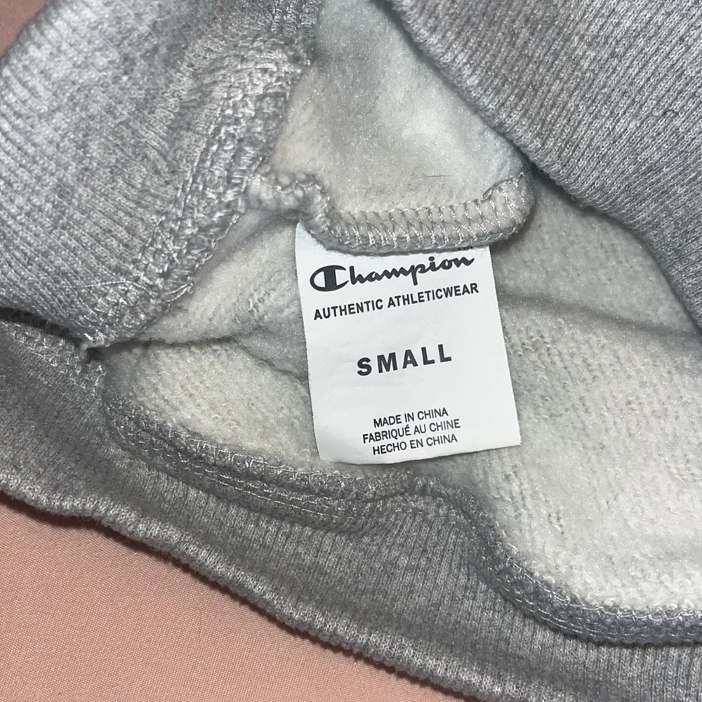 Dog Champion Hoodie - Picture 3 of 3